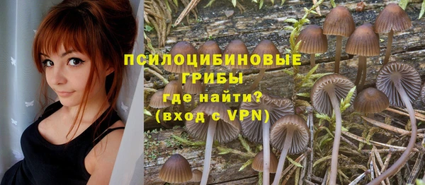 мдпв Богородск