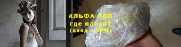 СК Богородицк