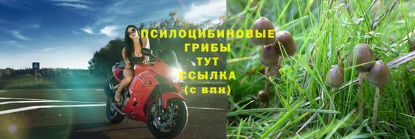 шишки Богданович