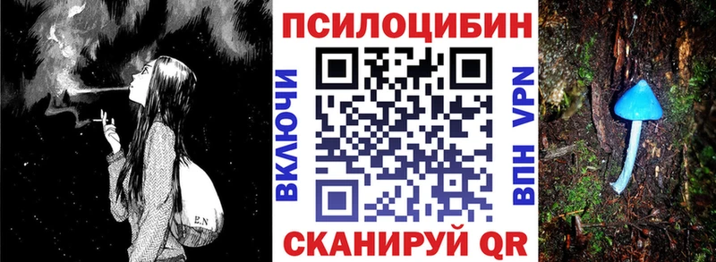 Псилоцибиновые грибы мицелий Бородино